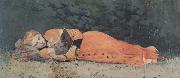 Winslow Homer The New Novel (mk44) oil on canvas